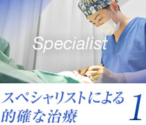 スペシャリストによる的確な治療